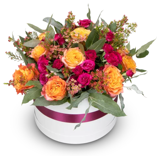 Box oranžových růží